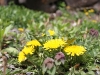 20100501IMG_1635