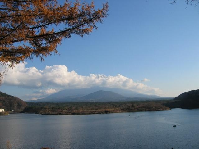 20081126IMG_1973