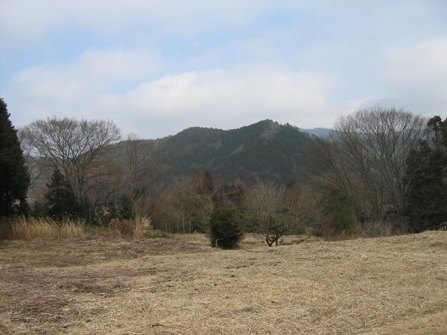 20090205000101