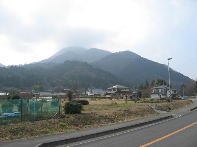 20090205000101