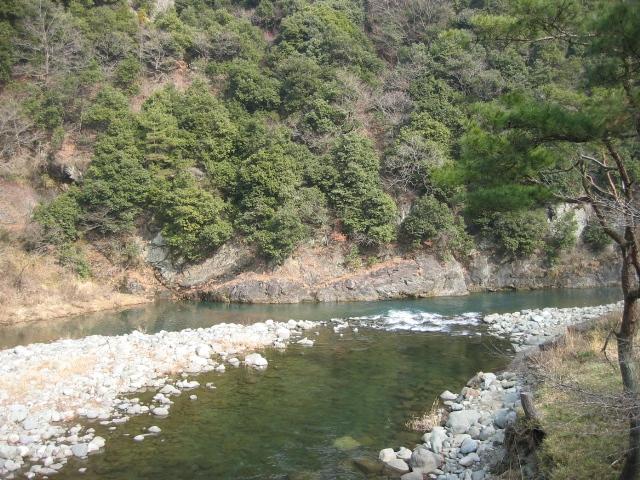 20090205000101