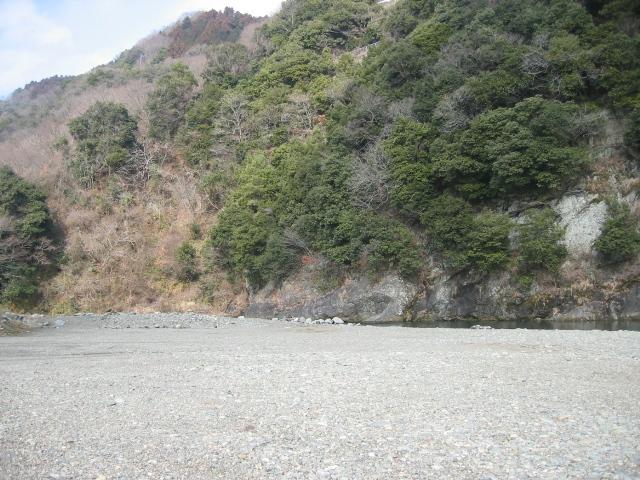 20090205000101
