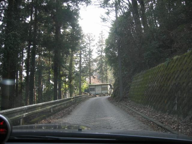 20090205000101
