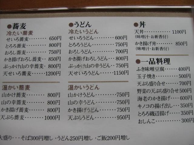 20090205000101