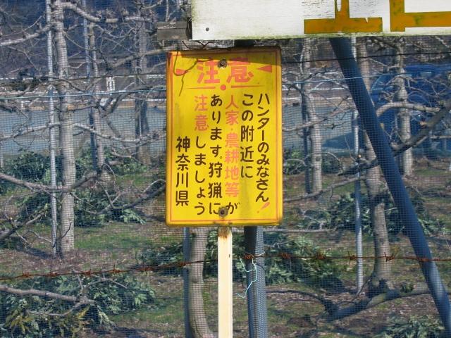 20090205000101