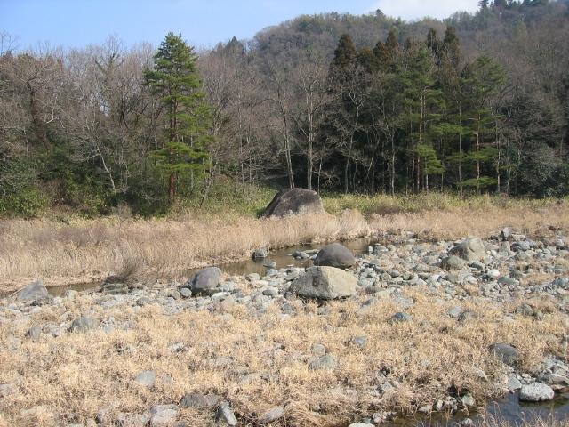 20090205000101