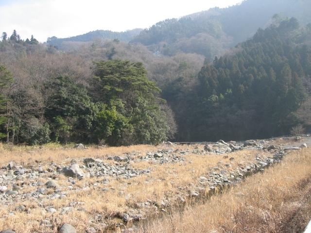 20090205000101