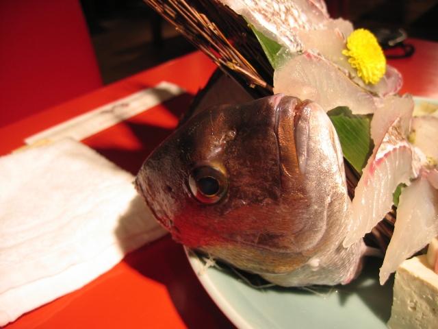 20090310IMG_2229