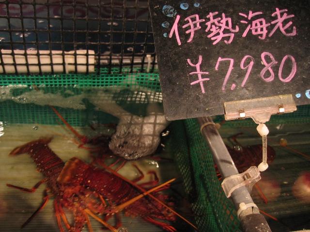 20090310IMG_2229