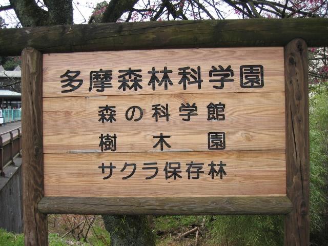 20090405IMG_2431