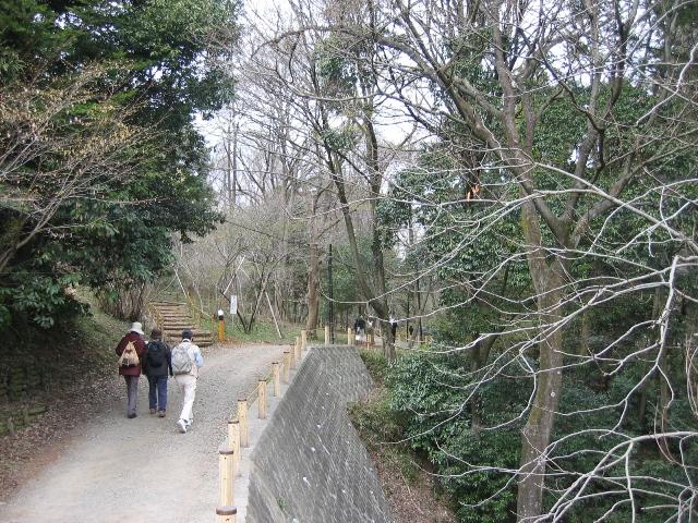 20090405IMG_2431