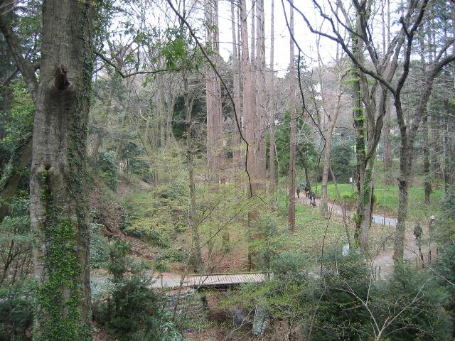 20090405IMG_2431