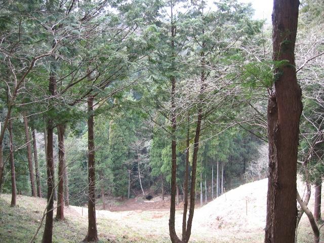 20090405IMG_2431