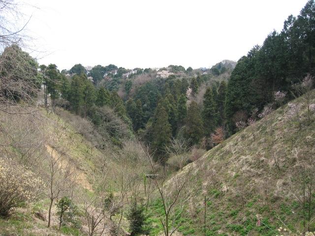 20090405IMG_2431