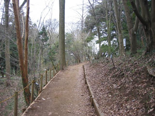 20090405IMG_2431