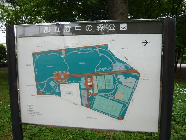 20090516P1020432