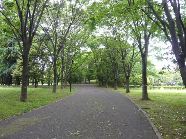 20090516P1020432