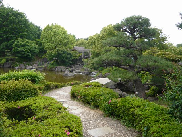 20090516P1020432