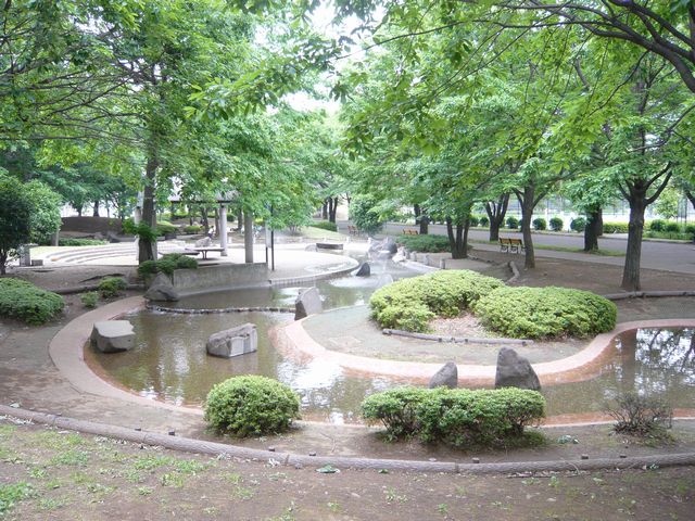 20090516P1020432