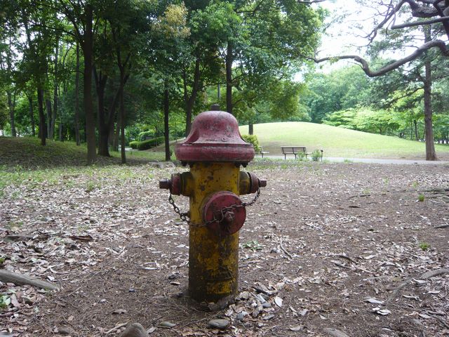 20090516P1020432