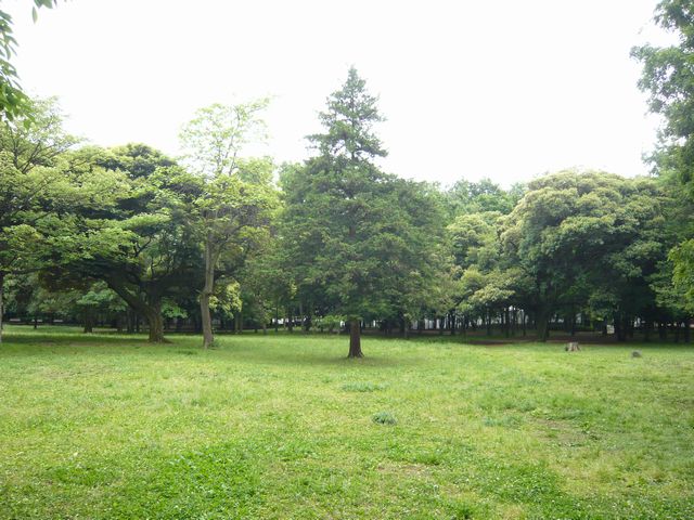20090516P1020432