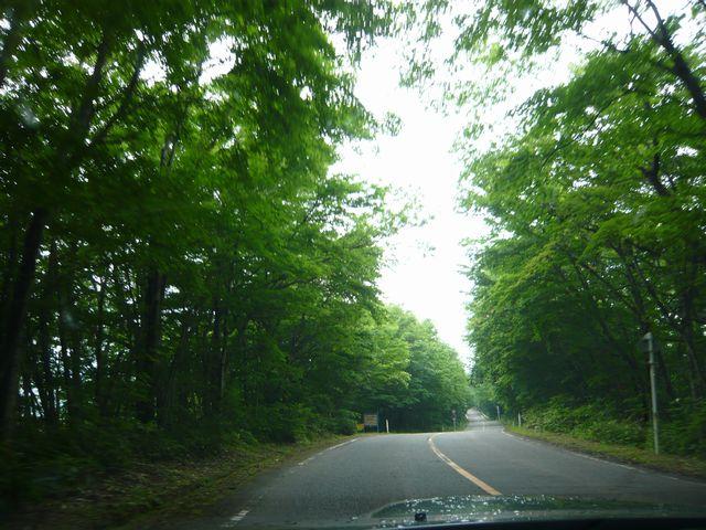 20090707P1020951