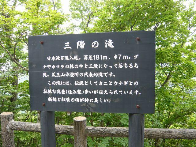 20090707P1020951