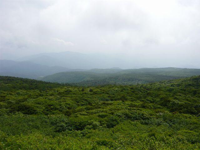 20090707P1020951