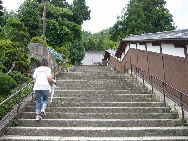 20090708P1030256