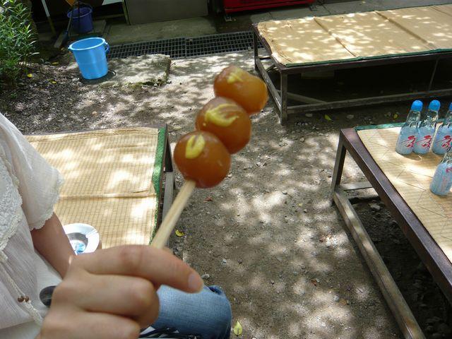 20090708P1030256