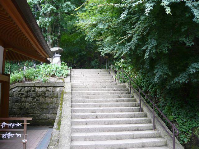 20090708P1030256