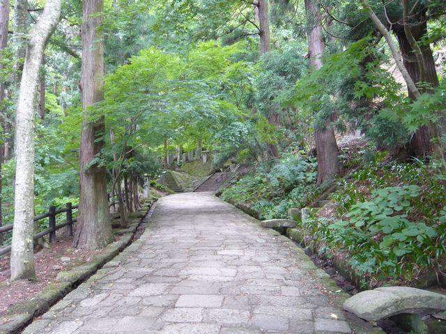 20090708P1030256