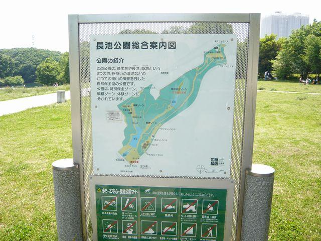 P1020654