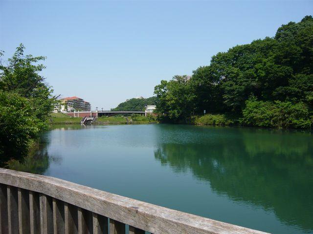P1020654